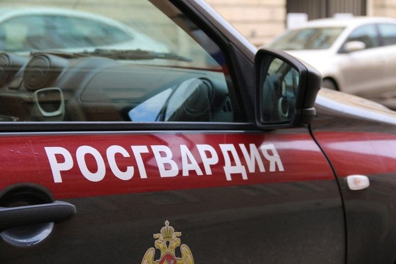 В Пушкине правоохранители отыскали потерявшегося пятилетнего мальчика