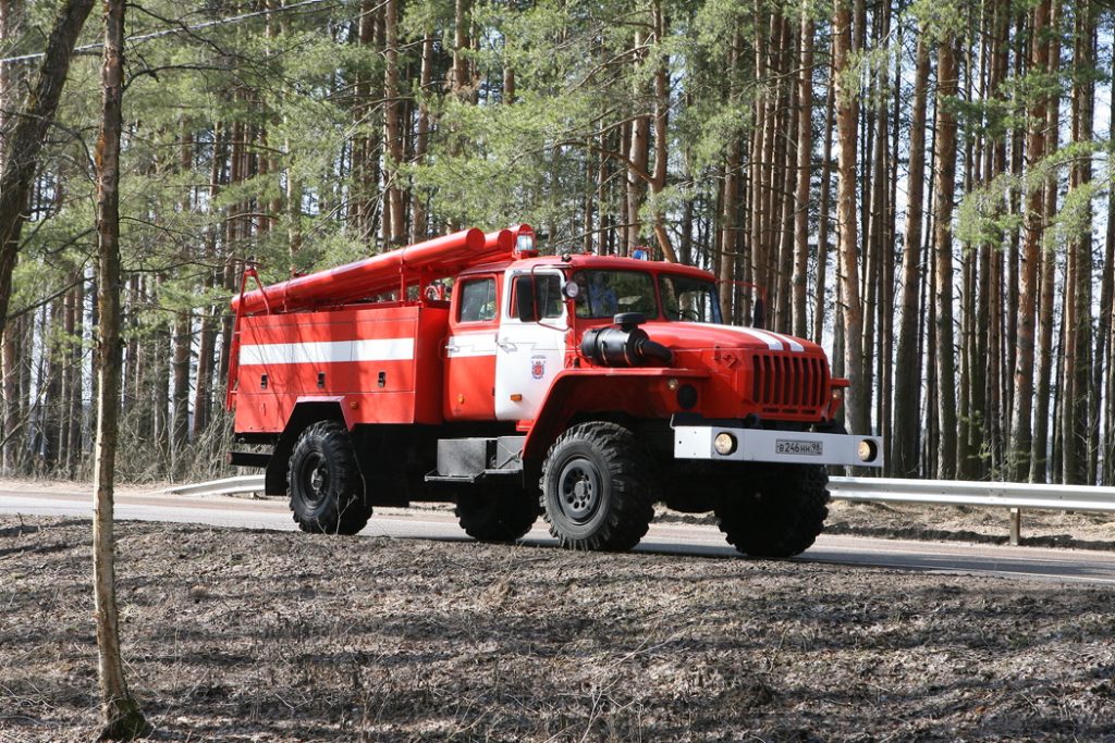 Пожароопасный сезон объявили в Петербурге
