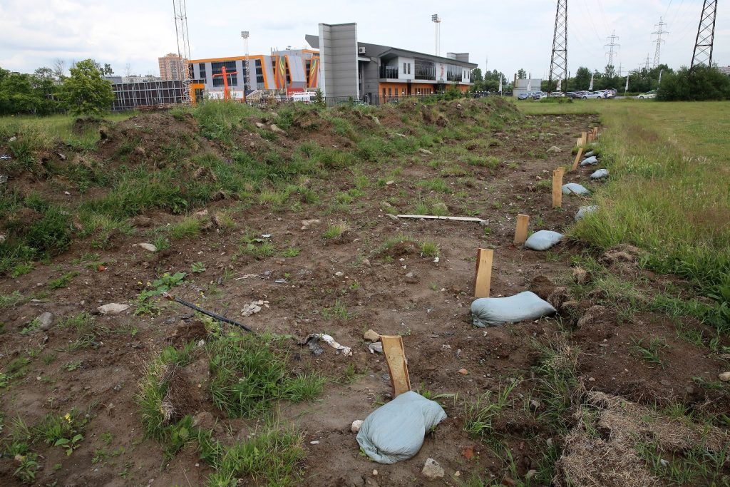 Суд подтвердил незаконность разрешения на строительство спорткомплекса в Муринском парке