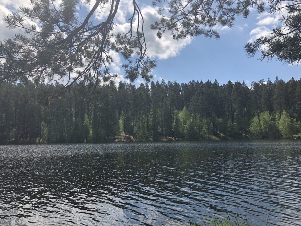 Петербуржцам разрешили купаться в двух озерах