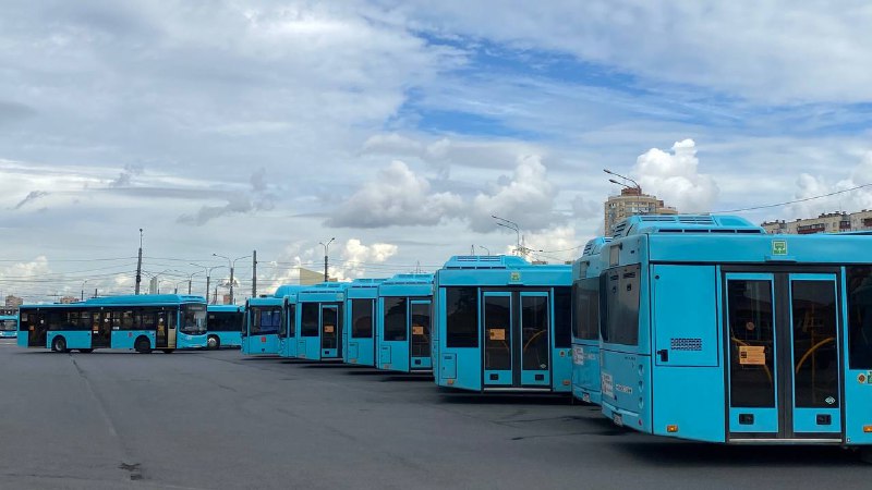 Петербург купил 207 автобусов за почти 4 млрд рублей