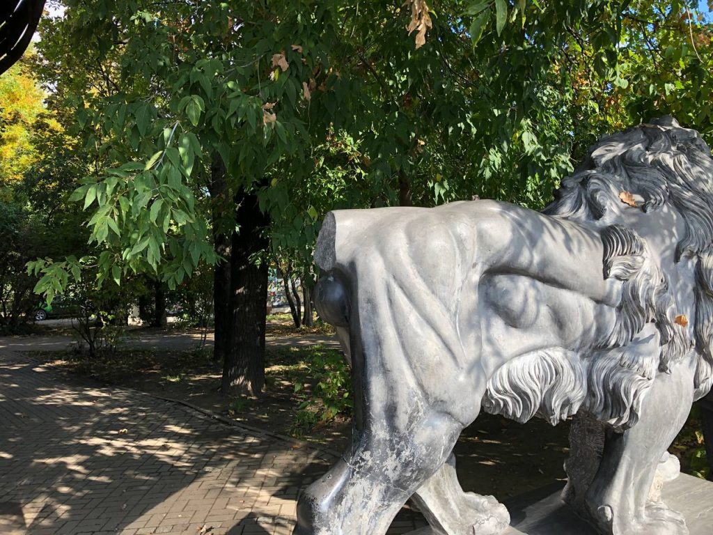 Льву «отрезали» хвост в Александровском парке