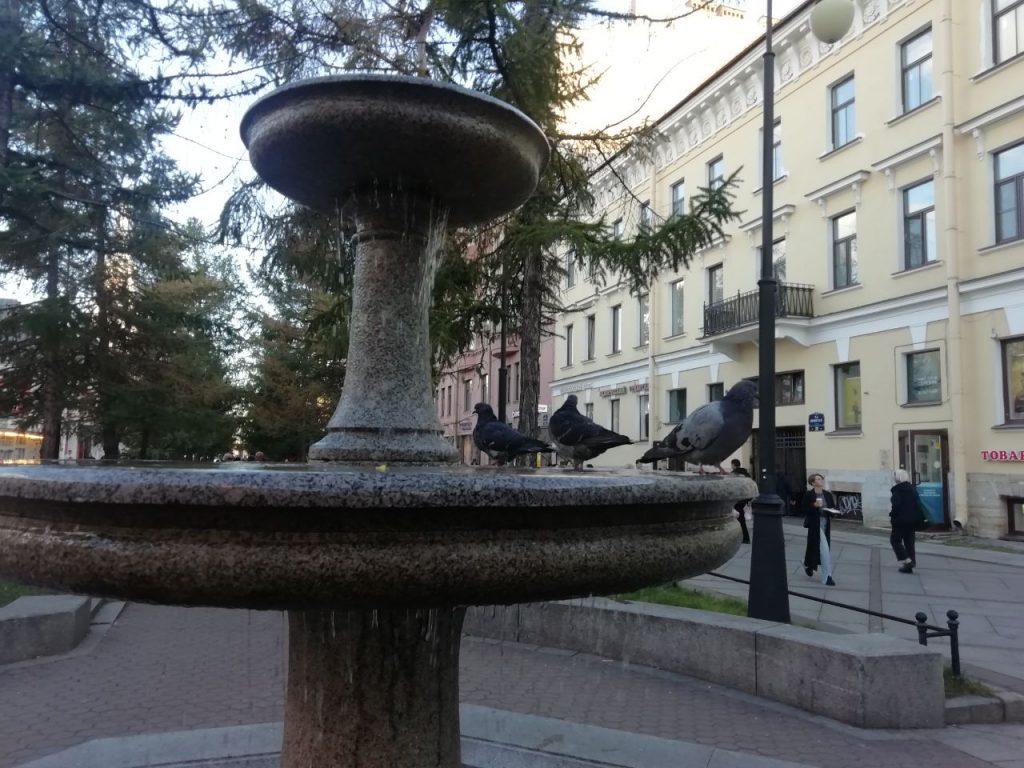 Промывка изменила график работы фонтанов в Петербурге