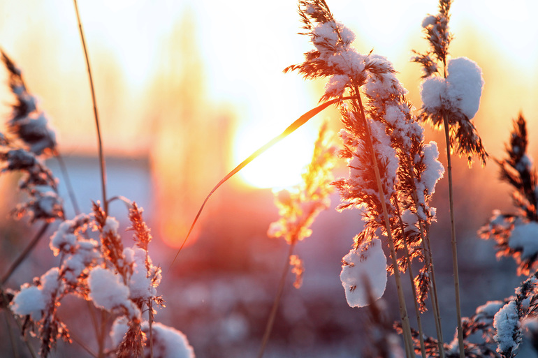 Зимнее солнцестояние: что нельзя делать 21 декабря, и как правильно загадать желание