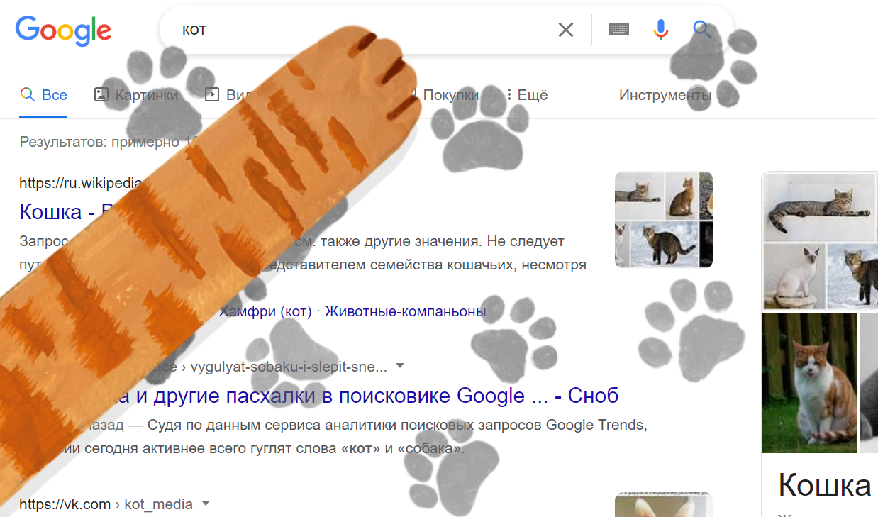 Осторожно! Работа в офисе может быть парализована: по страницам Google  забегали коты и собаки - Мойка78.ру﻿ Новости СПб