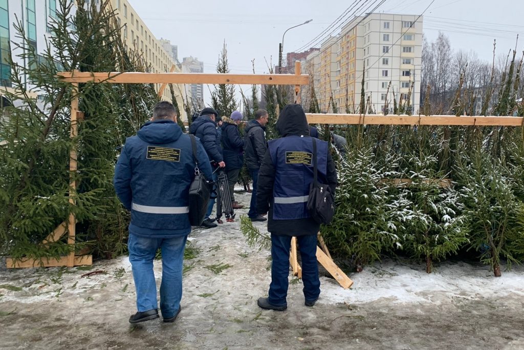 Смольный изъял 200 елок с нелегальных базаров в Петербурге