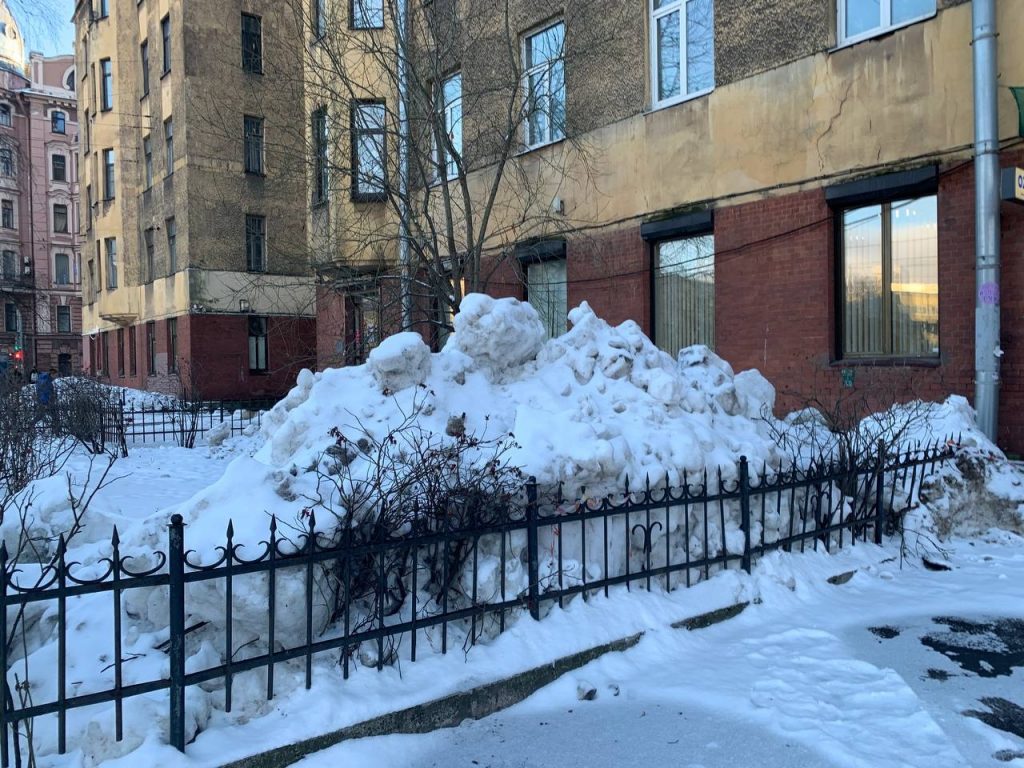 Что известно о снежных уголовных делах в Петербурге, возбужденных с 2022 года