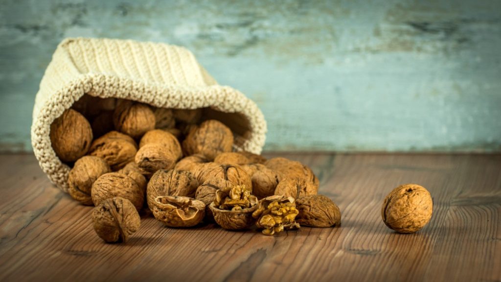 Эндокринолог Павлова посоветовала орехи для улучшения психического здоровья