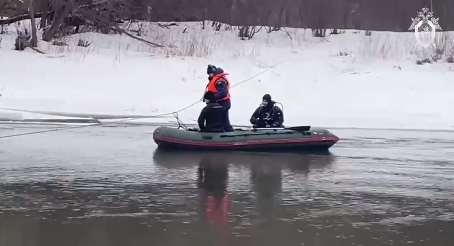 Провалилась под лед: в Павловском Посаде спасатели ищут семилетнюю девочку