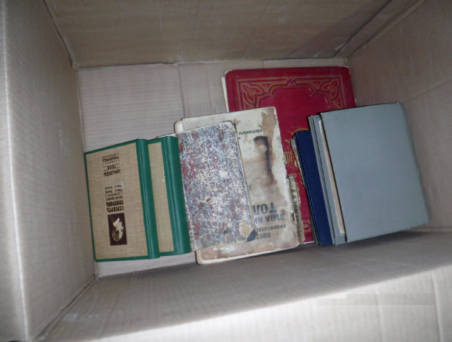 Выборгские таможенники не дали вывезти из России дореволюционные книги