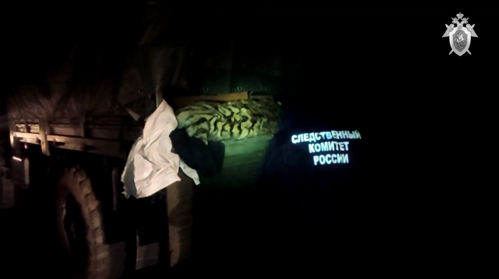 Браконьеры убили амурского тигра в Хабаровске, чтобы продать его за 700 тысяч рублей