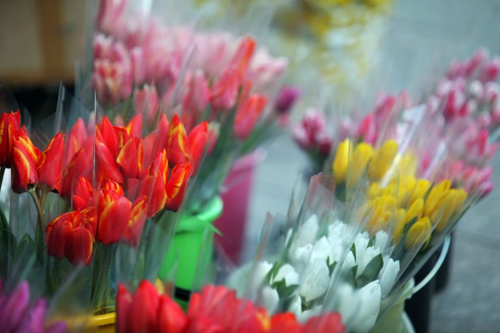 Для петербурженок перед 8 Марта завезли 2,2 млн цветов