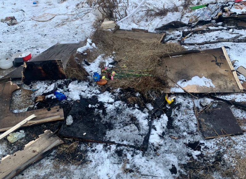 В Хабаровске собаку заживо сожгли в будке