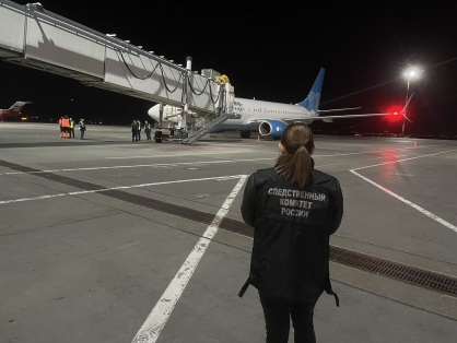 Самолет из Петербурга столкнулся с птицами в аэропорту Самары