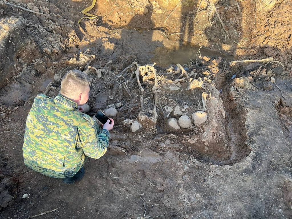 Под Гатчиной нашли дюжину скелетов жертв нацистов в годы ВОВ