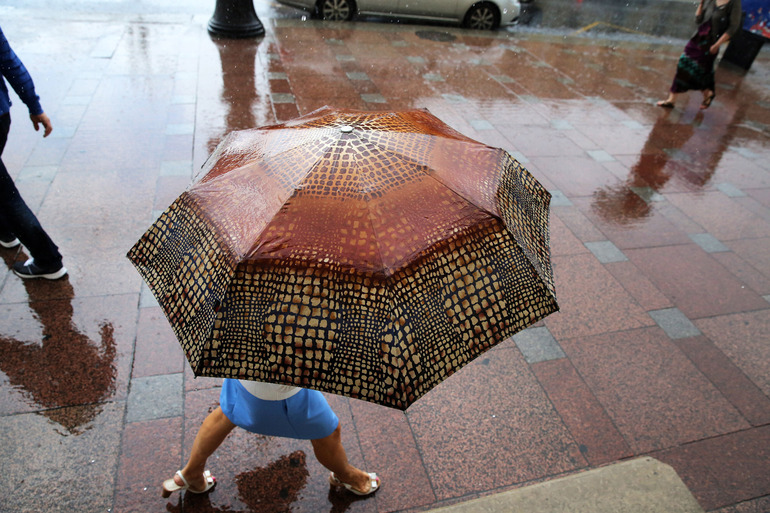 МЧС предупреждает петербуржцев об ухудшении погоды из-за грозы