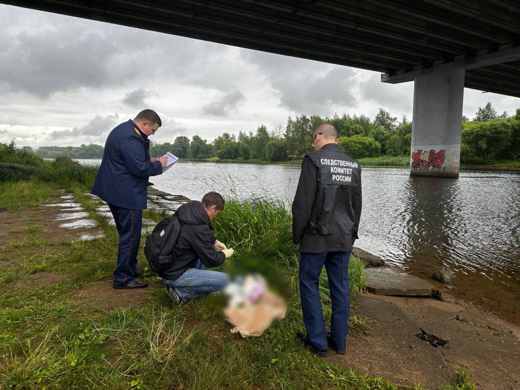 Мать в Ярославле задержали по делу об убийстве младенца в реке