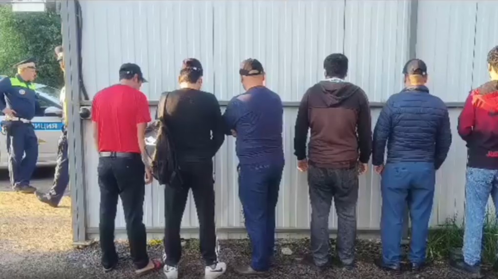 Полиция показала, как задерживала нелегальных мигрантов в Кудрово и Мурино