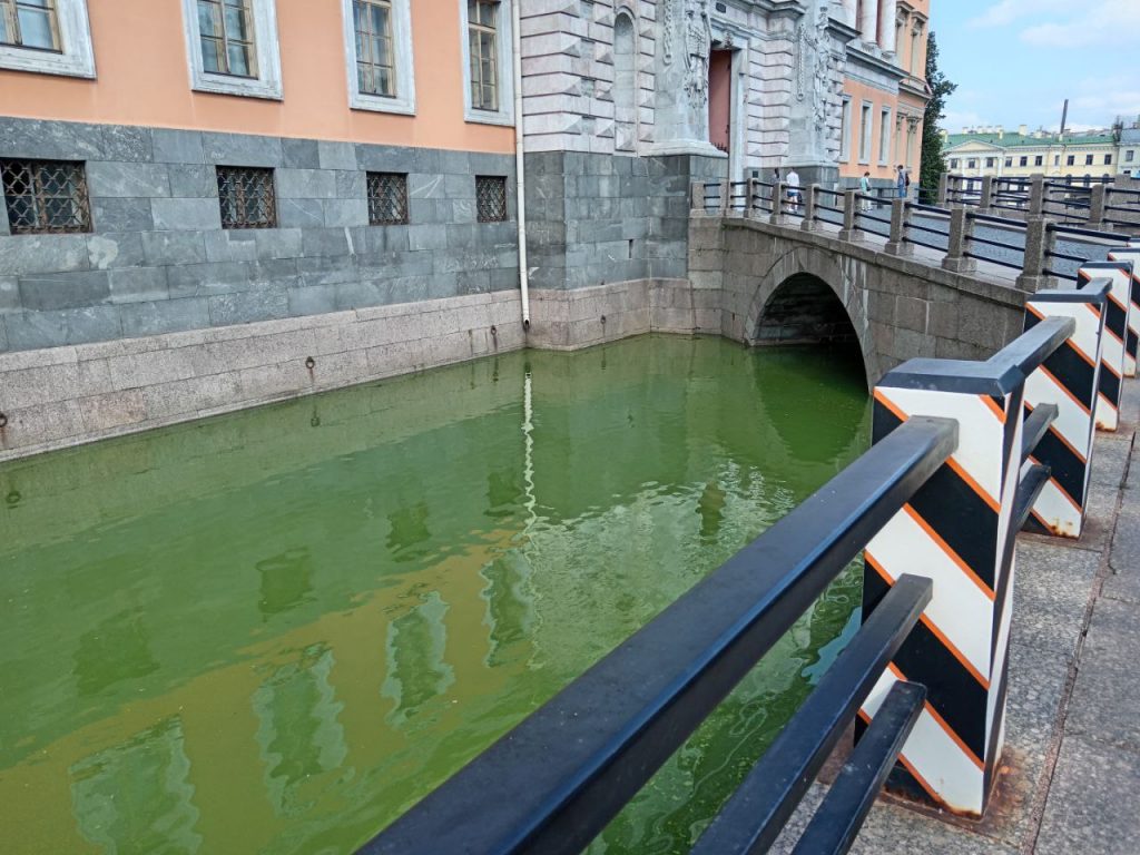 Ров с водой вокруг Михайловского замка окрасился в зеленый