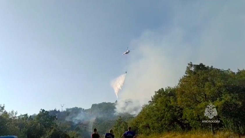 В Геленджике вспыхнул лесной пожар, огонь охватил массив в 5 гектаров