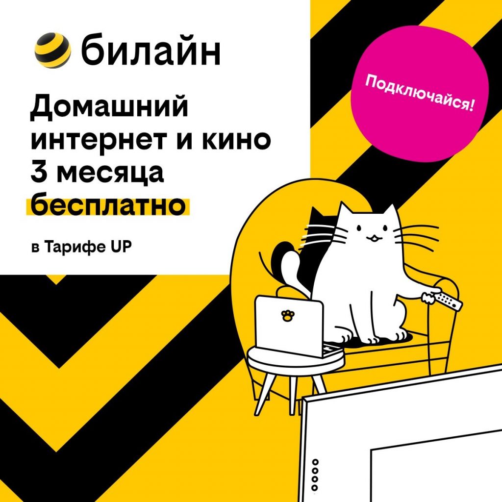 Базя, Пинг и Пуш сделают первые 3 месяца домашнего интернета с кинотеатром  и цифровым ТВ бесплатными - Мойка78.ру﻿ Новости СПб