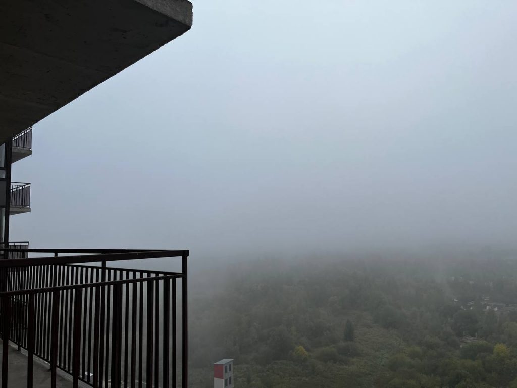 Густой туман накроет Ленобласть в ночь на вторник