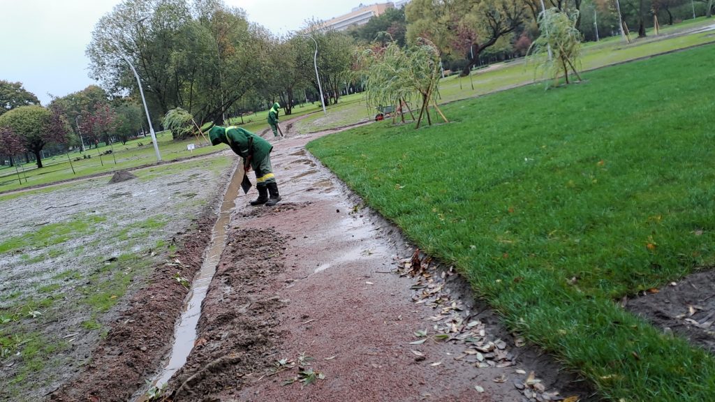 Садовники роют траншеи в парке Авиаторов, чтобы спасти его от потопа