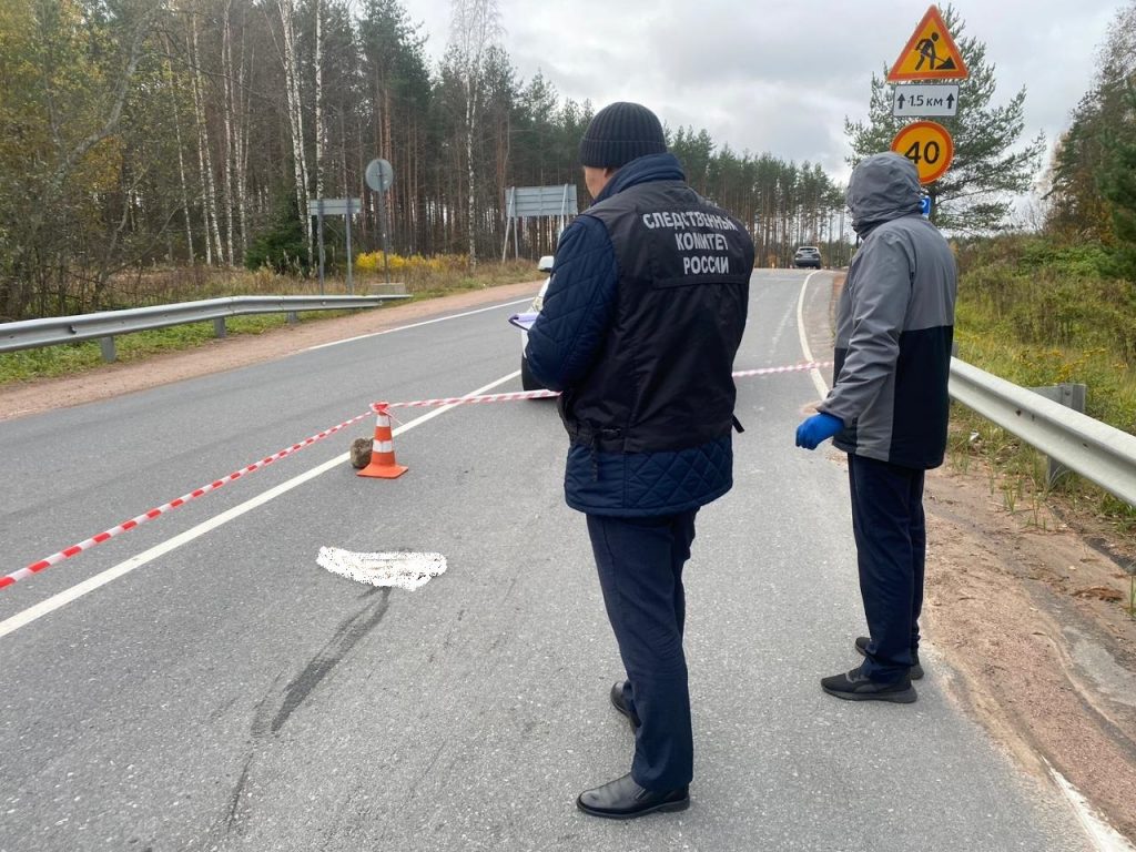 СК приоткрыл завесу тайны в деле о частях тела под Выборгом на &#171;Скандинавии&#187;