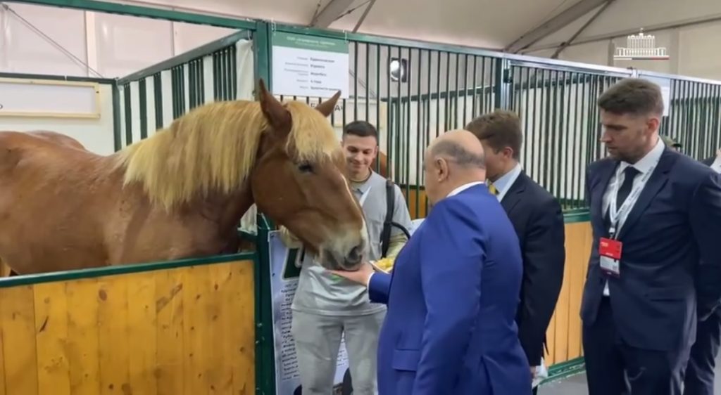 Мишустин угостил яблоком лошадь Руэмка на выставке «Золотая осень — 2023»