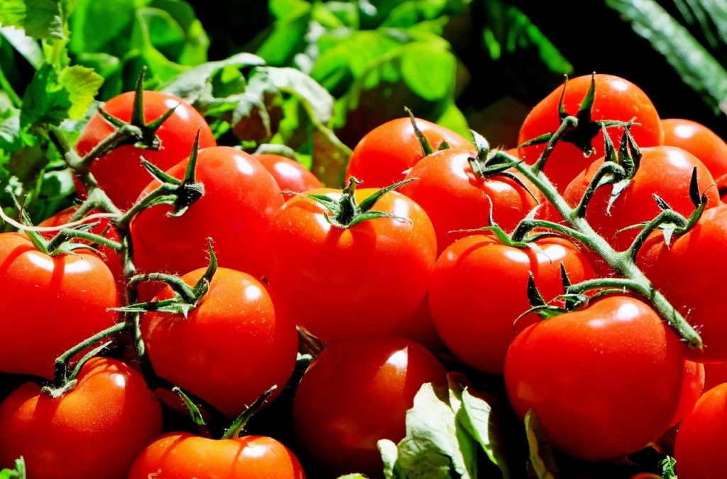 В Мурманске обнаружили зараженные вирусом томаты
