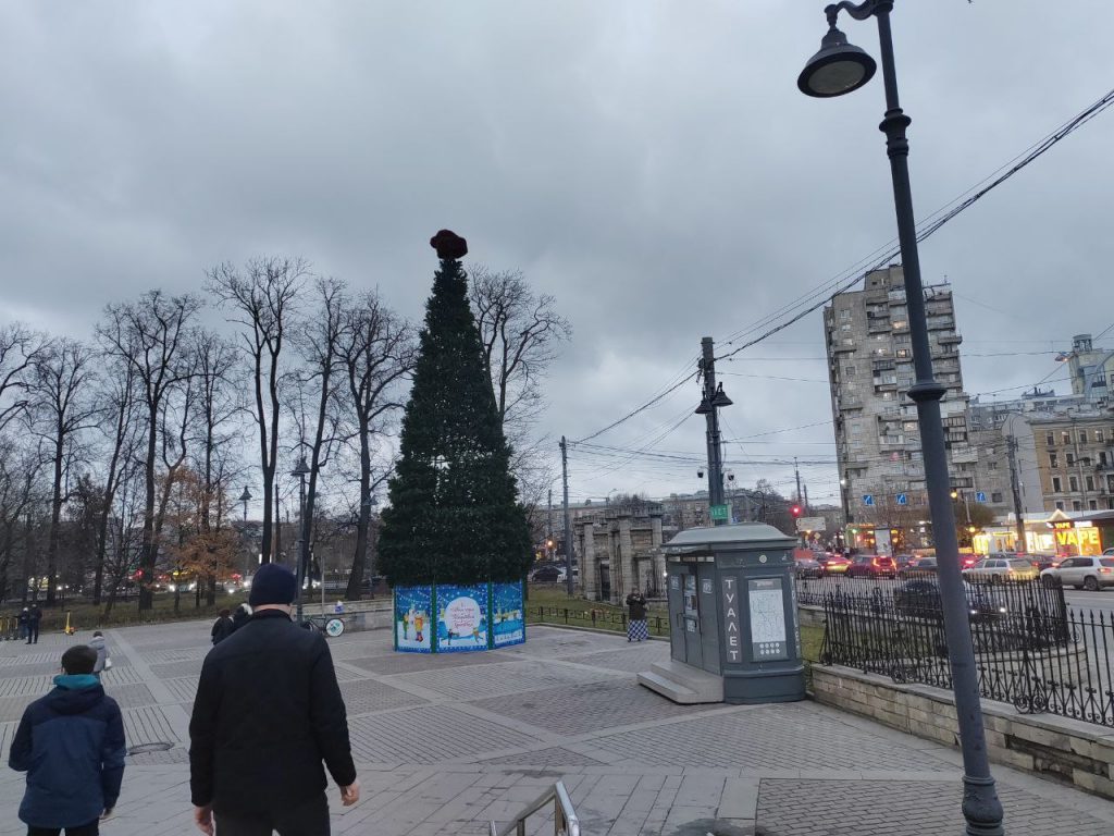 Новогодние ели начали расти у станций метро в Петербурге