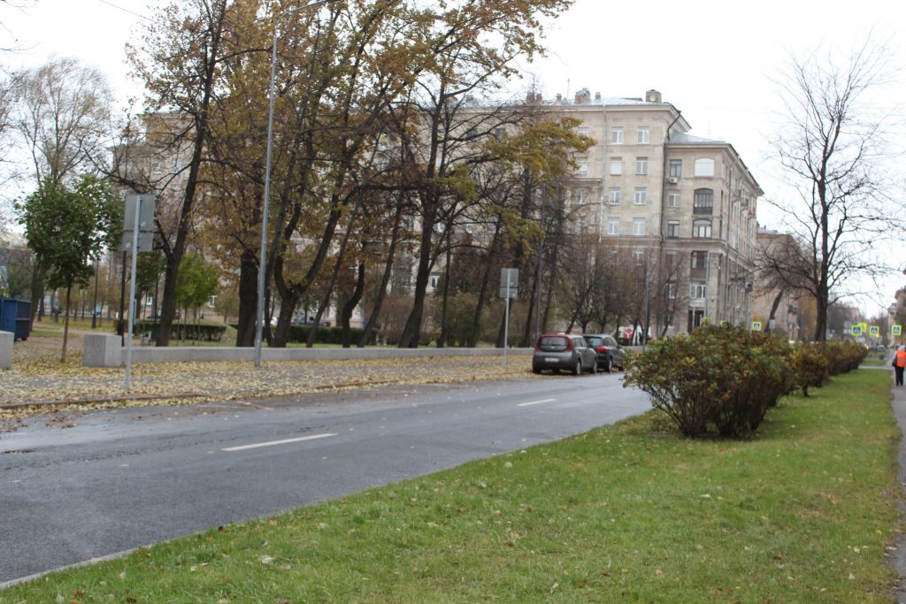 Платная парковка даст жителям В.О. свободные дворы и тишину