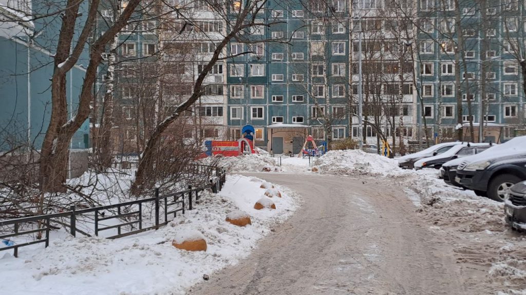 В половине дворов Петербурга, где был снежный рейд, не борются с сугробами и льдом