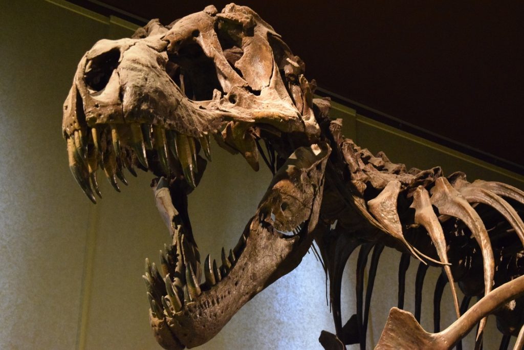 Ученые выяснили, что динозавры вымерли из-за силикатной пыли
