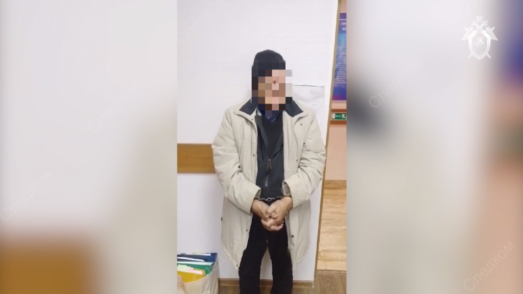 «Нож с кухни взял»: СК Петербурга показал допрос пенсионера по делу о нападении на школьника