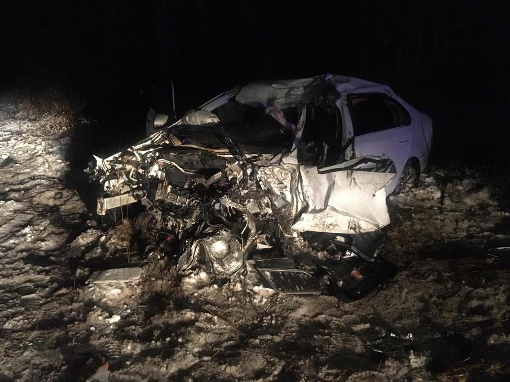Водитель лесовоза стал виновником двойного ДТП на трассе Петергоф &#8212; Кейкино, где погибли двое 