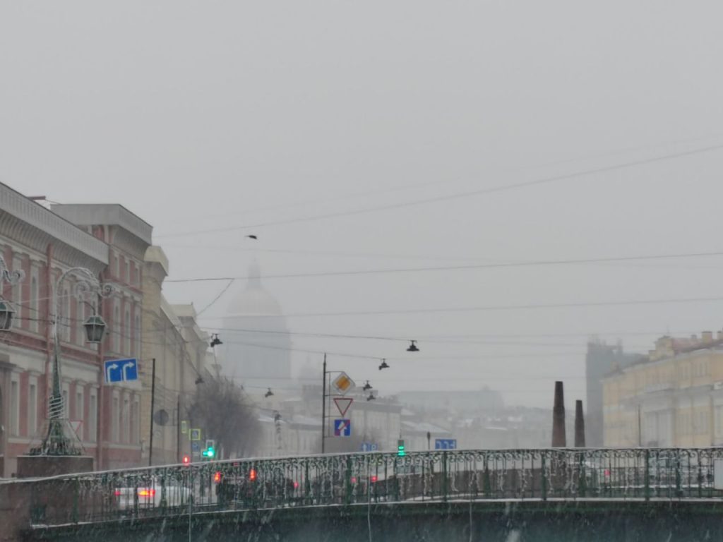 МЧС предупредило о снегопаде и сильном ветре в Петербурге