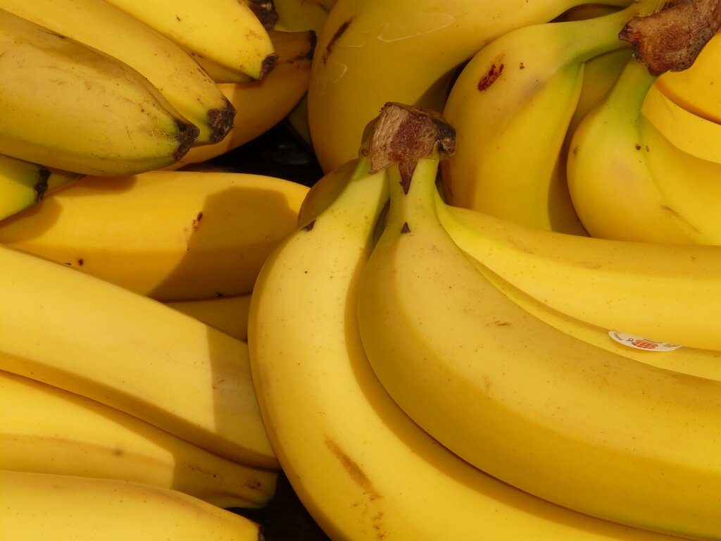 В Петербурге в контейнерах с бананами нашли 100 кг наркотиков