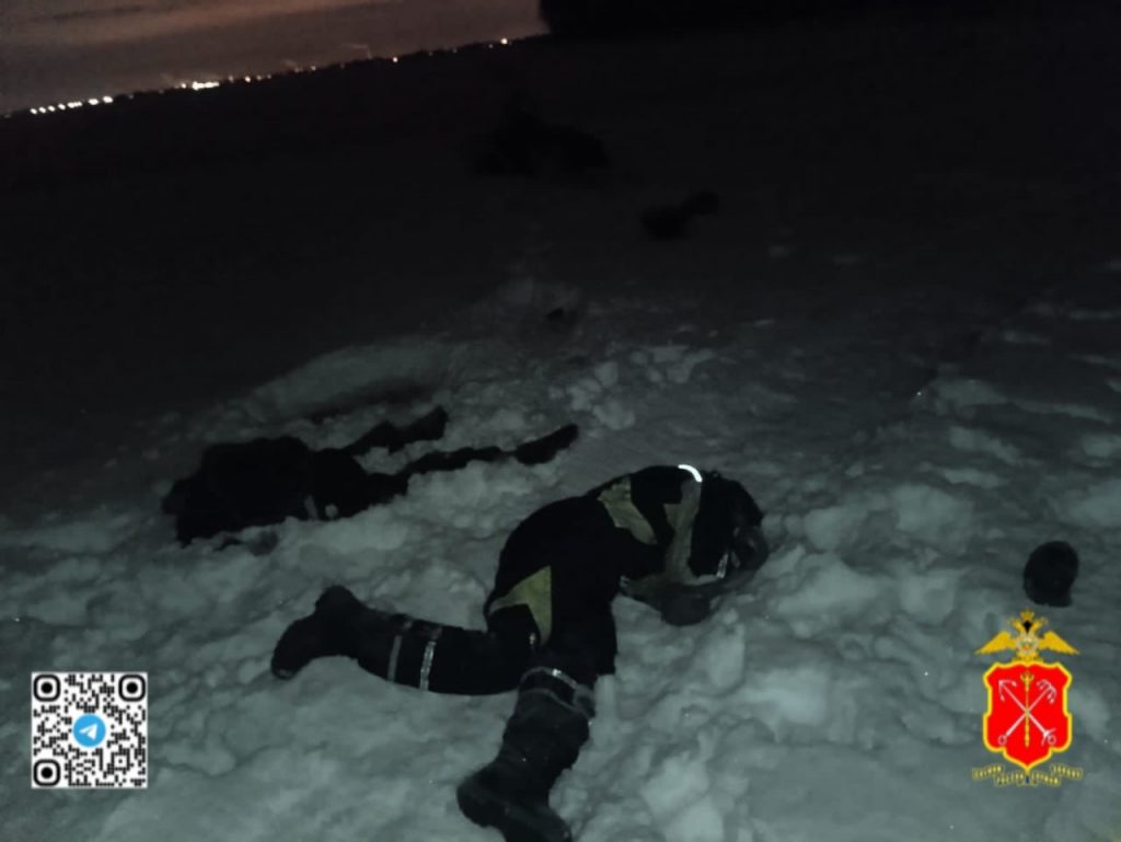 Под Петербургом двое мужчин насмерть разбились на снегоходе