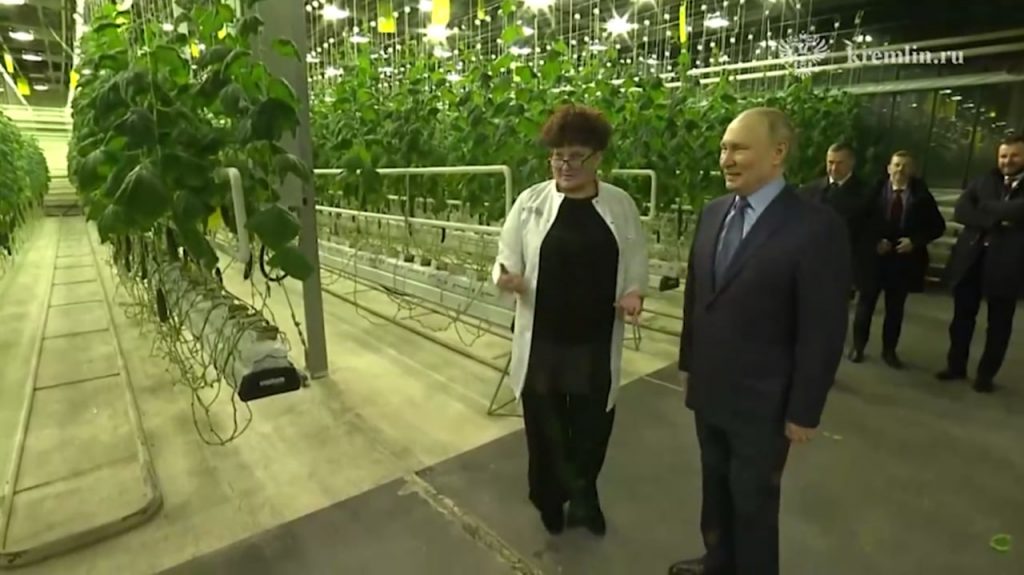 Путин на Чукотке пощупал круглогодичные огурцы и помидоры