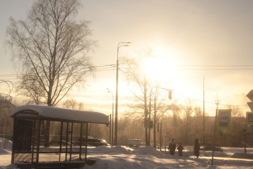 Солнце в середине февраля в Петербурге показывалось всего пять раз