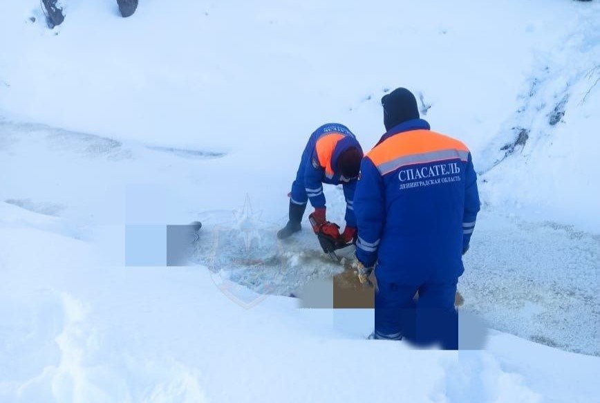 В ручье в Синявино обнаружили вмерзший в лед труп женщины