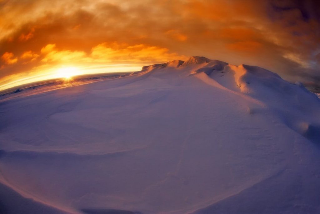 Ученые объяснили, как сильно человечество обеднеет без Антарктиды