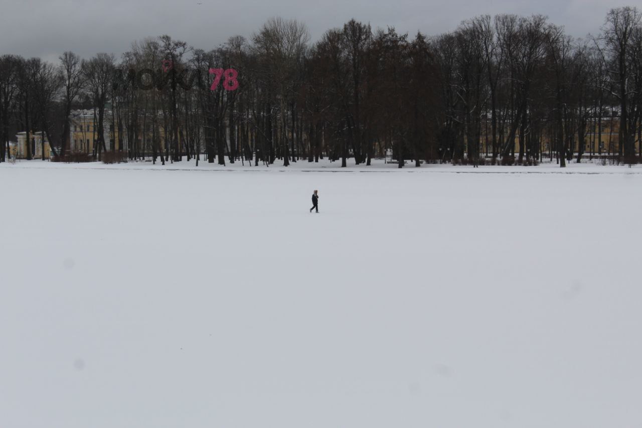 На лед Большой Невки ступил мужчина с рюкзаком и скрылся под Ушаковским мостом