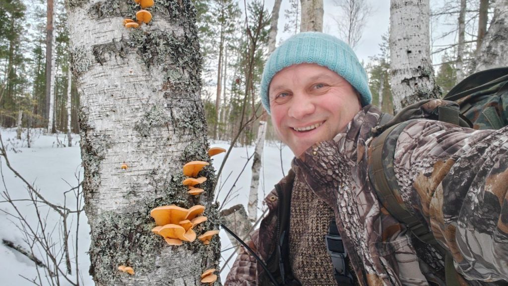 Биолог Глазков обнаружил в лесу Ленобласти оранжевые вешенки