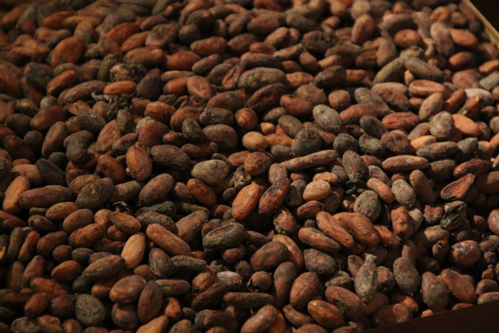 Россия увеличила импорт какао-бобов из Эквадора
