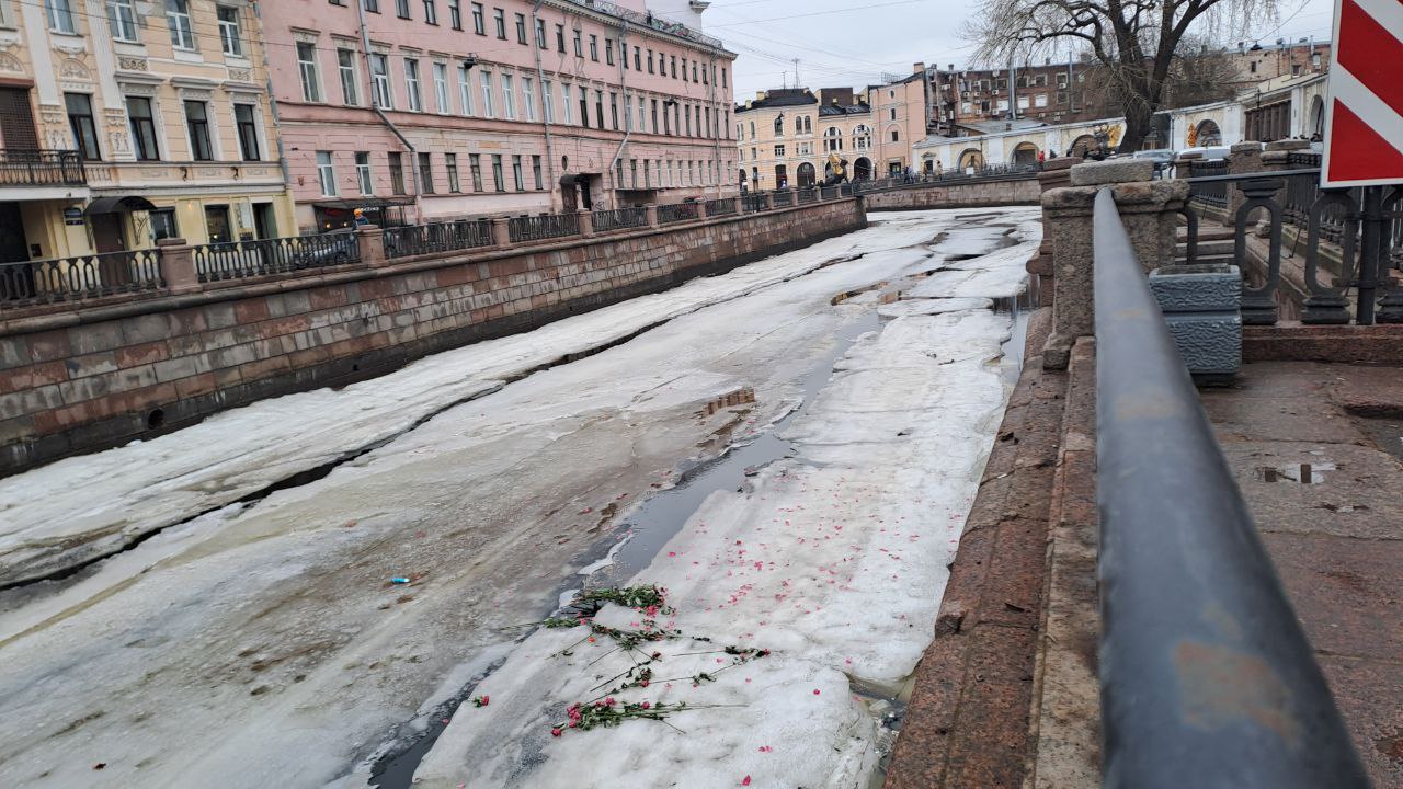 Розовая драма разыгралась на льду канала Грибоедова