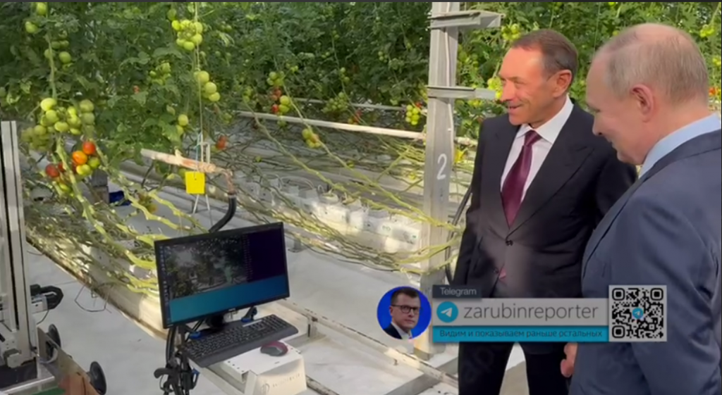 Путину показали робота, собирающего помидоры в Ставрополье