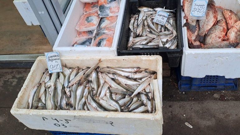 У метро «Удельная» запахло корюшкой