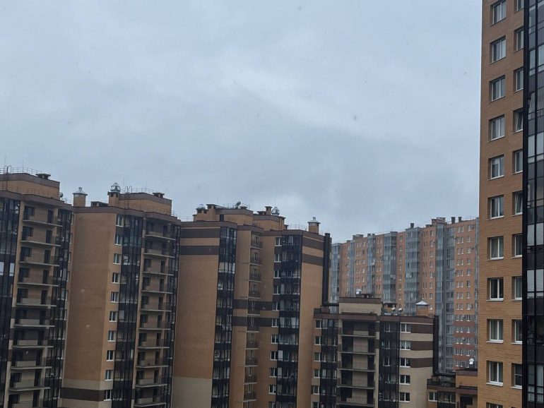 В Петербурге зима потеснила весну и принесла снег